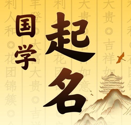 金凤国学起名 人工起名一对一